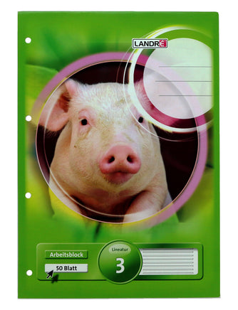 LANDRÉ Schulhefte & -blöcke kariert liniert Grundschule, Variante: Block liniert L3 A4 , 50 Blatt, Cover: Grün mit Schwein