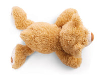 NICI 50cm  Kuscheltier Bär "Mielo" liegend 48783 von oben