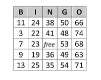 100 Stück Bingokarten für 75er System, für Bingo mit 75 Kugeln, weiß, Beispielbild