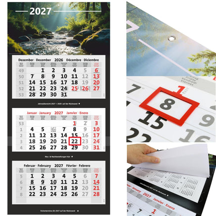 3-Monatskalender 2027 mit Motiv Wald