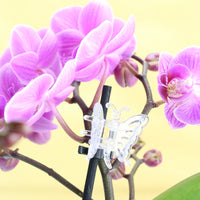 5er Set Orchideen Clips "Schmetterling" Anwendungsbeispiel