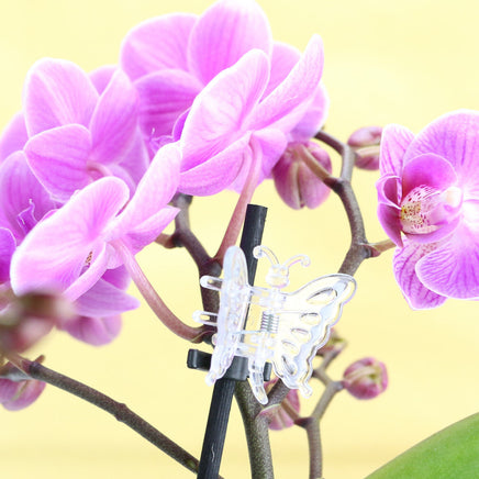 5er Set Orchideen Clips "Schmetterling" Anwendungsbeispiel