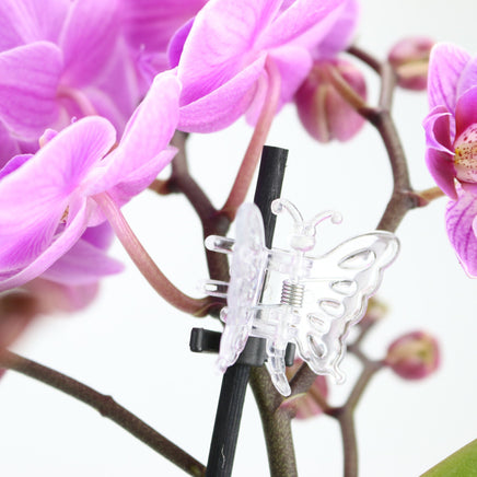 5er Set Orchideen Clips "Schmetterling" Gestaltungsbeispiel