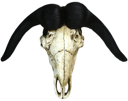 Wanddekoration Büffel- Schädel aus Polyresin, braun/schwarze Hörner